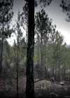 VampireDiariesWorld-dot-org_4x15StandByMe0516.jpg
