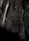 VampireDiariesWorld-dot-org_4x15StandByMe0560.jpg