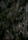 VampireDiariesWorld-dot-org_4x15StandByMe0917.jpg