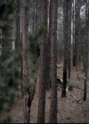 VampireDiariesWorld-dot-org_4x15StandByMe0918.jpg