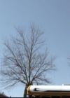 VampireDiariesWorld-dot-org_4x15StandByMe1131.jpg