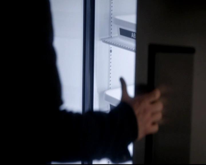 VampireDiariesWorld-dot-org_4x16BringItOn0980.jpg