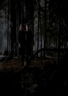 VampireDiariesWorld-dot-org_4x16BringItOn1730.jpg