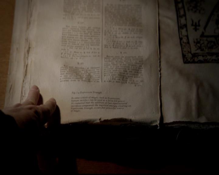 VampireDiariesWorld-dot-org_4x17BecauseTheNight0729.jpg