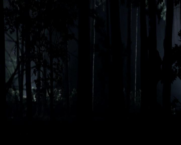 VampireDiariesWorld-dot-org_4x17BecauseTheNight1495.jpg VampireDiariesWorld-dot-org_4x17BecauseTheNight1495.jpg