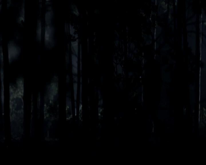 VampireDiariesWorld-dot-org_4x17BecauseTheNight1498.jpg