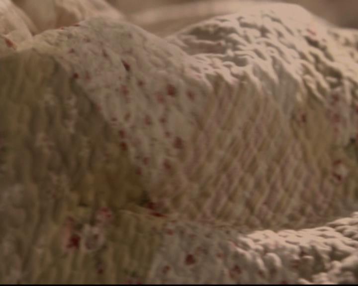 VampireDiariesWorld-dot-org_4x17BecauseTheNight1746.jpg