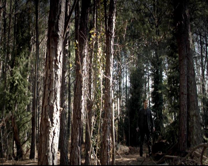 VampireDiariesWorld-dot-org_4x17BecauseTheNight2176.jpg