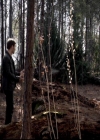 VampireDiariesWorld-dot-org_4x17BecauseTheNight2126.jpg