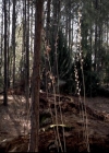 Filename=VampireDiariesWorld-dot-org_4x17BecauseTheNight2175.jpg
Filesize=74KiB
Dimensions=720x576
Date added=Dec 07, 2013 VampireDiariesWorld-dot-org_4x17BecauseTheNight2175.jpg