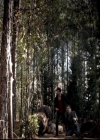 Filename=VampireDiariesWorld-dot-org_4x17BecauseTheNight2192.jpg
Filesize=87KiB
Dimensions=720x576
Date added=Dec 07, 2013 VampireDiariesWorld-dot-org_4x17BecauseTheNight2192.jpg