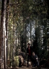 VampireDiariesWorld-dot-org_4x17BecauseTheNight2192.jpg