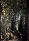 VampireDiariesWorld-dot-org_4x17BecauseTheNight2195.jpg