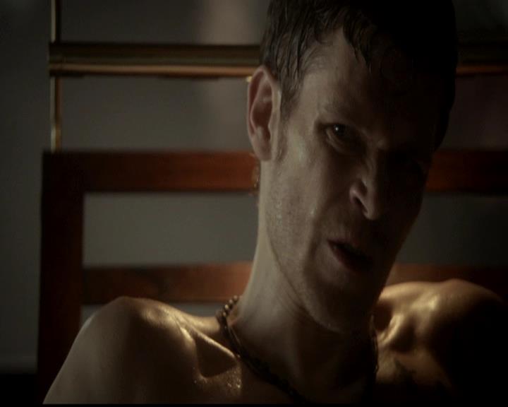 VampireDiariesWorld-dot-org_4x18AmericanGothic0571.jpg