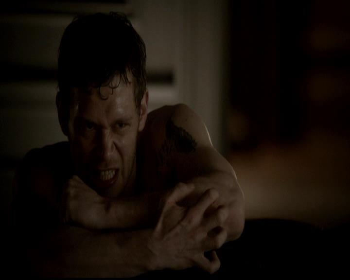 VampireDiariesWorld-dot-org_4x18AmericanGothic1400.jpg
