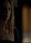 VampireDiariesWorld-dot-org_4x18AmericanGothic0578.jpg