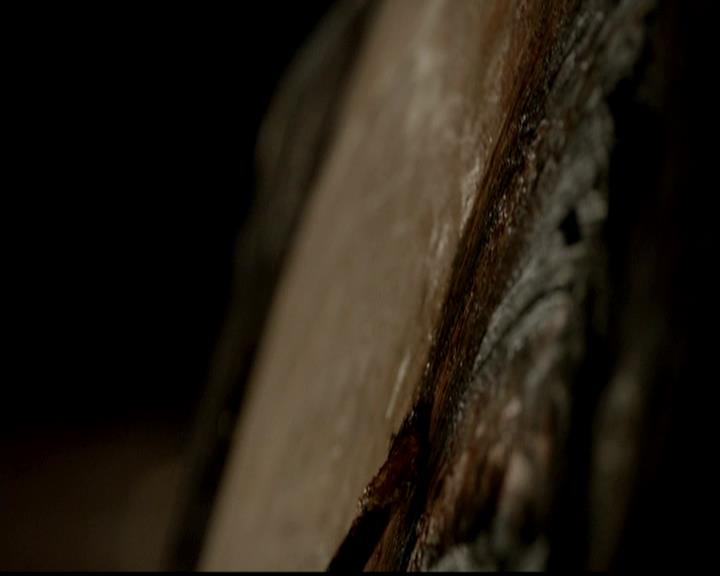 VampireDiariesWorld-dot-org_4x20TheOriginals1821.jpg