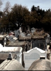 VampireDiariesWorld-dot-org_4x20TheOriginals0133.jpg