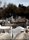 VampireDiariesWorld-dot-org_4x20TheOriginals0134.jpg