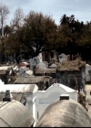 VampireDiariesWorld-dot-org_4x20TheOriginals0135.jpg