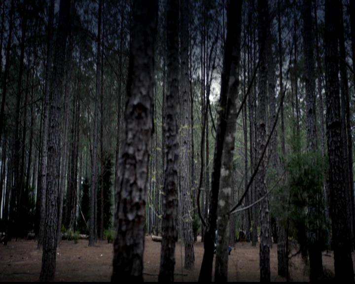 VampireDiariesWorld-dot-org_4x22TheWalkingDead0146.jpg