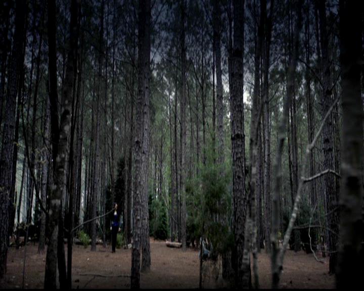 VampireDiariesWorld-dot-org_4x22TheWalkingDead0150.jpg