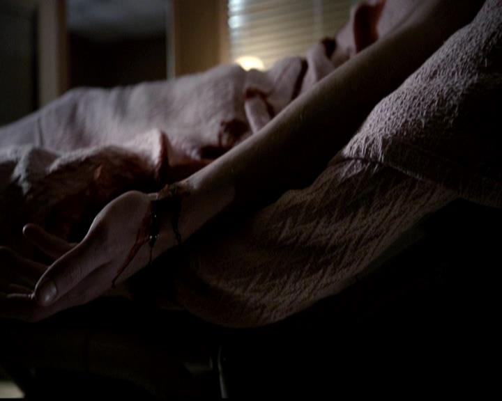 VampireDiariesWorld-dot-org_4x22TheWalkingDead0289.jpg