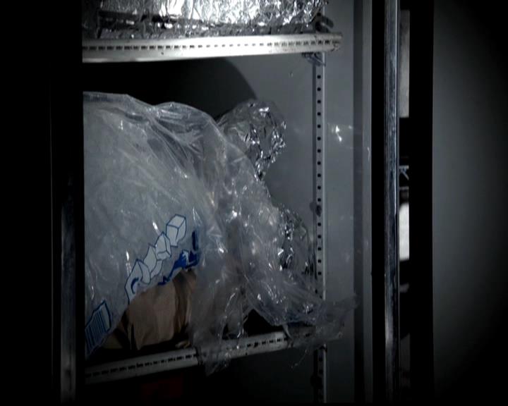 VampireDiariesWorld-dot-org_4x22TheWalkingDead0664.jpg