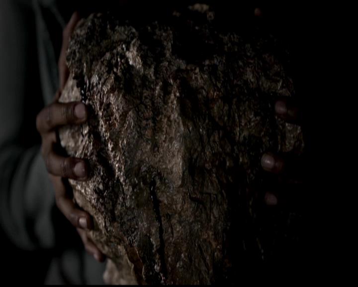 VampireDiariesWorld-dot-org_4x22TheWalkingDead0788.jpg VampireDiariesWorld-dot-org_4x22TheWalkingDead0788.jpg