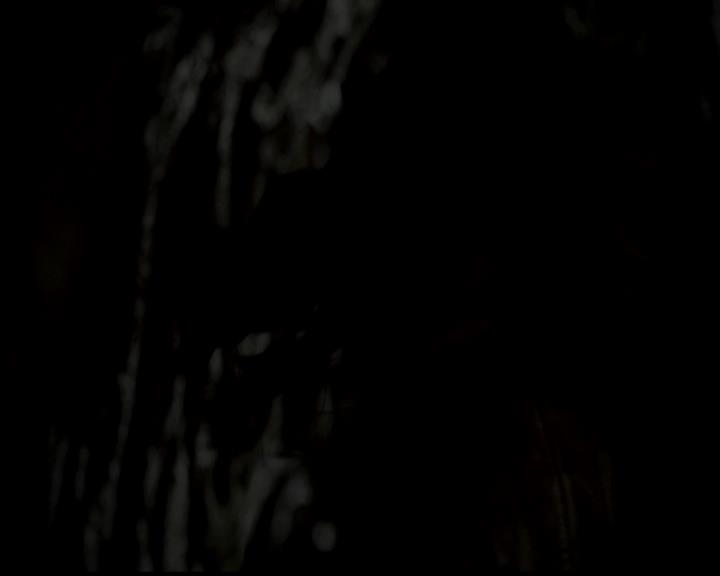 VampireDiariesWorld-dot-org_4x22TheWalkingDead1058.jpg