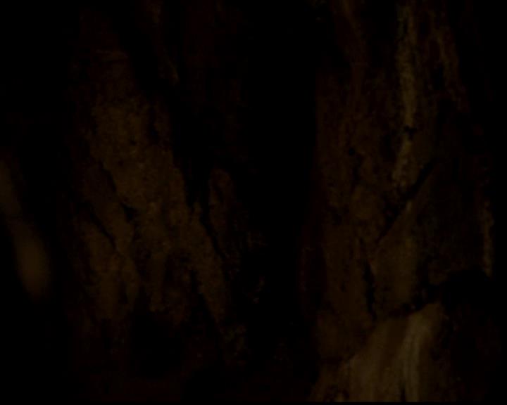 VampireDiariesWorld-dot-org_4x22TheWalkingDead1457.jpg