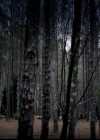 VampireDiariesWorld-dot-org_4x22TheWalkingDead0146.jpg