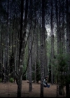 VampireDiariesWorld-dot-org_4x22TheWalkingDead0148.jpg