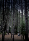 VampireDiariesWorld-dot-org_4x22TheWalkingDead0149.jpg