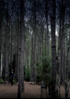 VampireDiariesWorld-dot-org_4x22TheWalkingDead0150.jpg