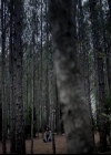 VampireDiariesWorld-dot-org_4x22TheWalkingDead0158.jpg