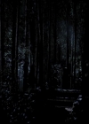 VampireDiariesWorld-dot-org_4x22TheWalkingDead0344.jpg