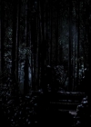 VampireDiariesWorld-dot-org_4x22TheWalkingDead0345.jpg
