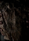 VampireDiariesWorld-dot-org_4x22TheWalkingDead0787.jpg