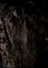 VampireDiariesWorld-dot-org_4x22TheWalkingDead0790.jpg