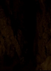 VampireDiariesWorld-dot-org_4x22TheWalkingDead1457.jpg
