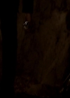 VampireDiariesWorld-dot-org_4x22TheWalkingDead1484.jpg