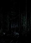 VampireDiariesWorld-dot-org_4x22TheWalkingDead1486.jpg