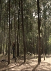 VampireDiariesWorld-dot-org_DeletedScene-4x04TheFive0026.jpg