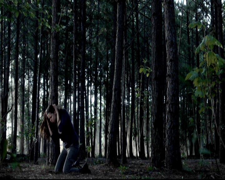 VampireDiariesWorld-dot-org_BloodBoysandBadBehavior-BecomingAVampire0115.jpg VampireDiariesWorld-dot-org_BloodBoysandBadBehavior-BecomingAVampire0115.jpg