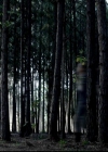 VampireDiariesWorld-dot-org_BloodBoysandBadBehavior-BecomingAVampire0114.jpg