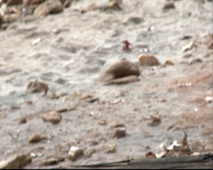 VampireDiariesWorld-dot-org_CreatingSilassIsland0284.jpg VampireDiariesWorld-dot-org_CreatingSilassIsland0284.jpg