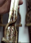 VampireDiariesWorld-dot-org_TVD-TheUltimatePropMaster0112.jpg