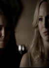 VampireDiariesWorld-dot-org_5x01IKnowWhatYouDidLastSummer1071.jpg