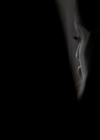 VampireDiariesWorld-dot-org_5x01IKnowWhatYouDidLastSummer1642.jpg